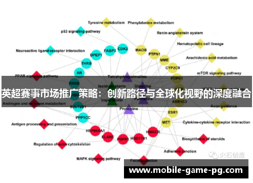 英超赛事市场推广策略：创新路径与全球化视野的深度融合